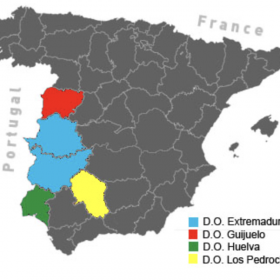 denominations of origin
