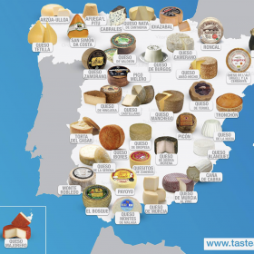 denominations of origin spanish cheeses