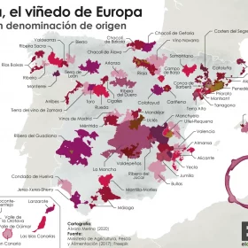 denominacion-origen-vinos-spain